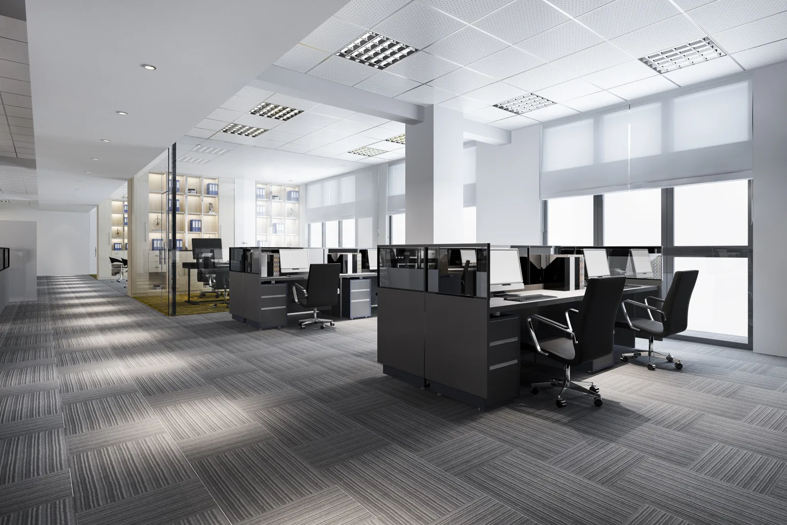 A fitted floor in use — desks, task chairs and meeting rooms along the glazed perimeter.
